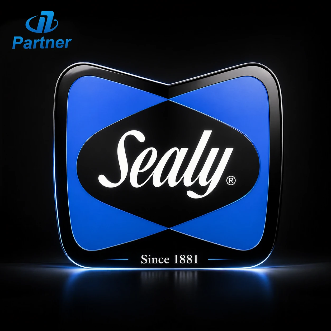 Custom LED Light Box Sign for Retail & Branding | Sealy Logo Illuminated Display Sign